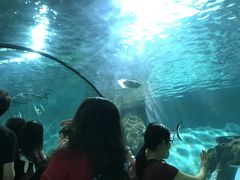 -福州罗源湾海洋世界旅游区