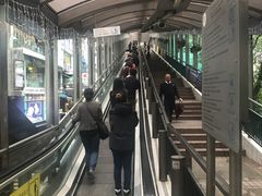 -中环半山扶手电梯