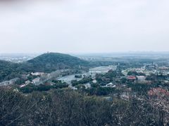 -上海佘山国家森林公园西佘山园