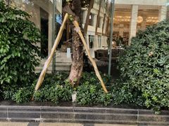 -成都环球中心天堂洲际大饭店