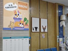 -瑞派名望志远动物医院·猫科·內科·异宠专科(直港大道店)