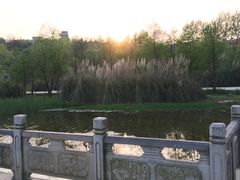 -贵阳市花溪国家城市湿地公园