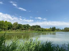 -东郊湿地公园