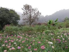 -广州市石门国家森林公园