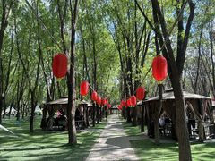 -草根堂农场