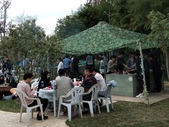 -上海长兴岛郊野公园