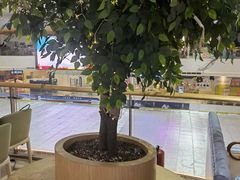 -夏日玛莉西餐厅(梅溪湖步步高店)