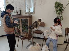 -共舞时光猫咖·狗咖(新街口店)