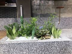 -常识咖啡common sense(春熙路店)