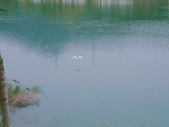 -凤岗南门山森林公园