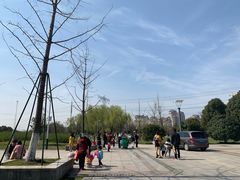 -九里河湿地公园