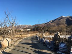 -蓟县沐风庄园精品民宿农家院(梨木台店)