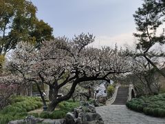 -南园(太仓市)