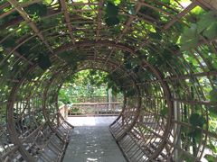 -万源龙顺度假庄园生态观光园