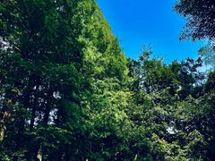 -柳莺湖上·湖景餐厅·江南菜(西湖店)