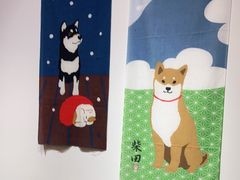 -柴迷FANS CLUB·柴犬狗咖·猫咖