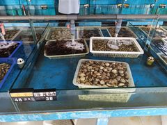 -老太太海鲜城(森林公园任家台店)