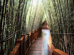 -天河潭旅游度假区