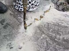 -深圳诚信专业防水补漏公司