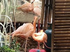 -昆明动物园