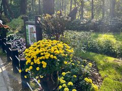 -共青国家森林公园-售票处