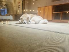 -大江户·温泉洗浴(浑南店)