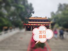 -深圳市中科院仙湖植物园