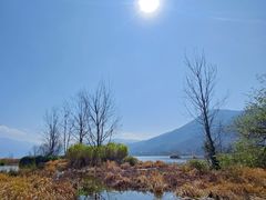 -西昌邛海湿地