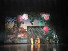 -合肥大剧院