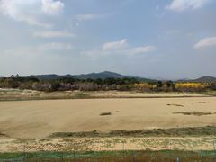 -蓝记云吞(正果店)