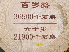 -千年银杏谷文化旅游区