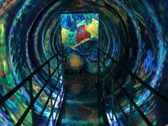 -上海梵高星空艺术馆(南京路旗舰店)