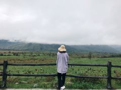 -石棉县孟获城