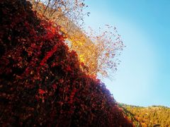 -府君山公园