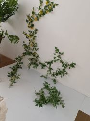 -范叔叔儿童摄影生活馆(芝麻开门欢颜店)