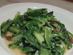 -東大方(安吉灵芝店)