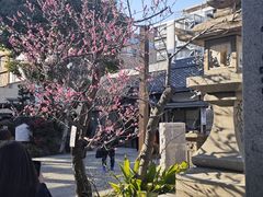 -难波八坂神社