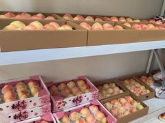 -南汇新场正宗水蜜桃采摘