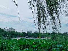 -济南大明湖景区