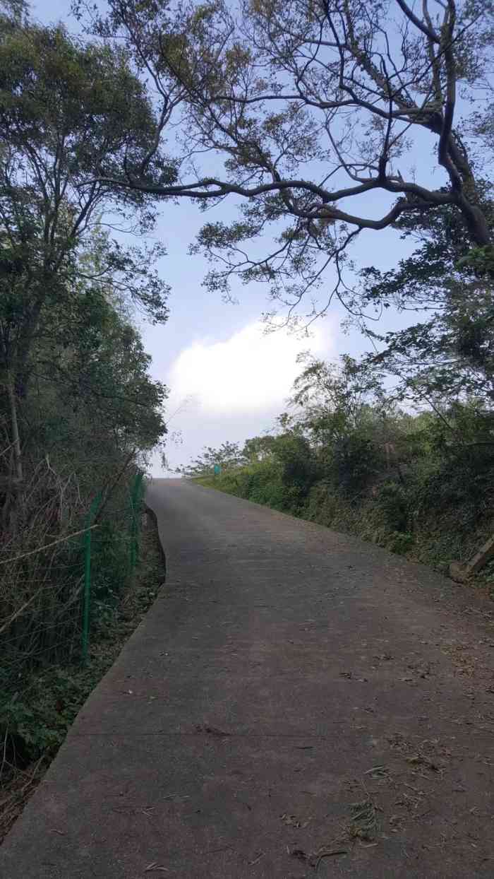 长岗山森林公园-"长岗山,就在我们学校边上.所以天气好的时.