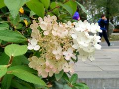 景点-沈阳植物园