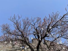 -慕田峪长城
