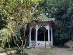 -深圳国际园林花卉博览园