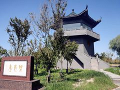 -盐城丹顶鹤湿地生态旅游区