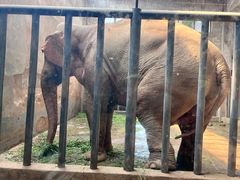 -石家庄市动物园