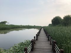 -太湖湖滨国家湿地公园-停车场