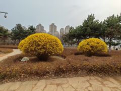 -前关湿地公园