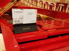 -柏斯音乐艺术中心·钢琴·吉他(世纪金源店)