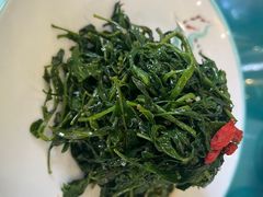 清香枸杞苗-国强手抓(北京西路店)