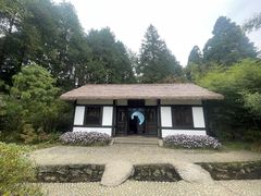 -庐山风景区花径公园